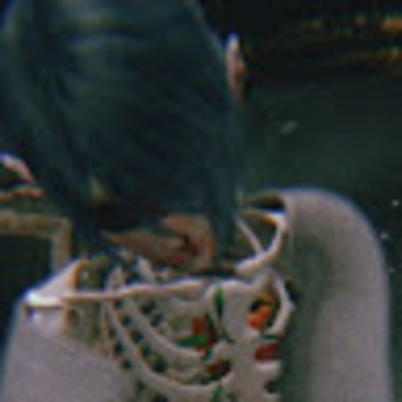 Meet your Posher, Nor - Picture 1 of 1